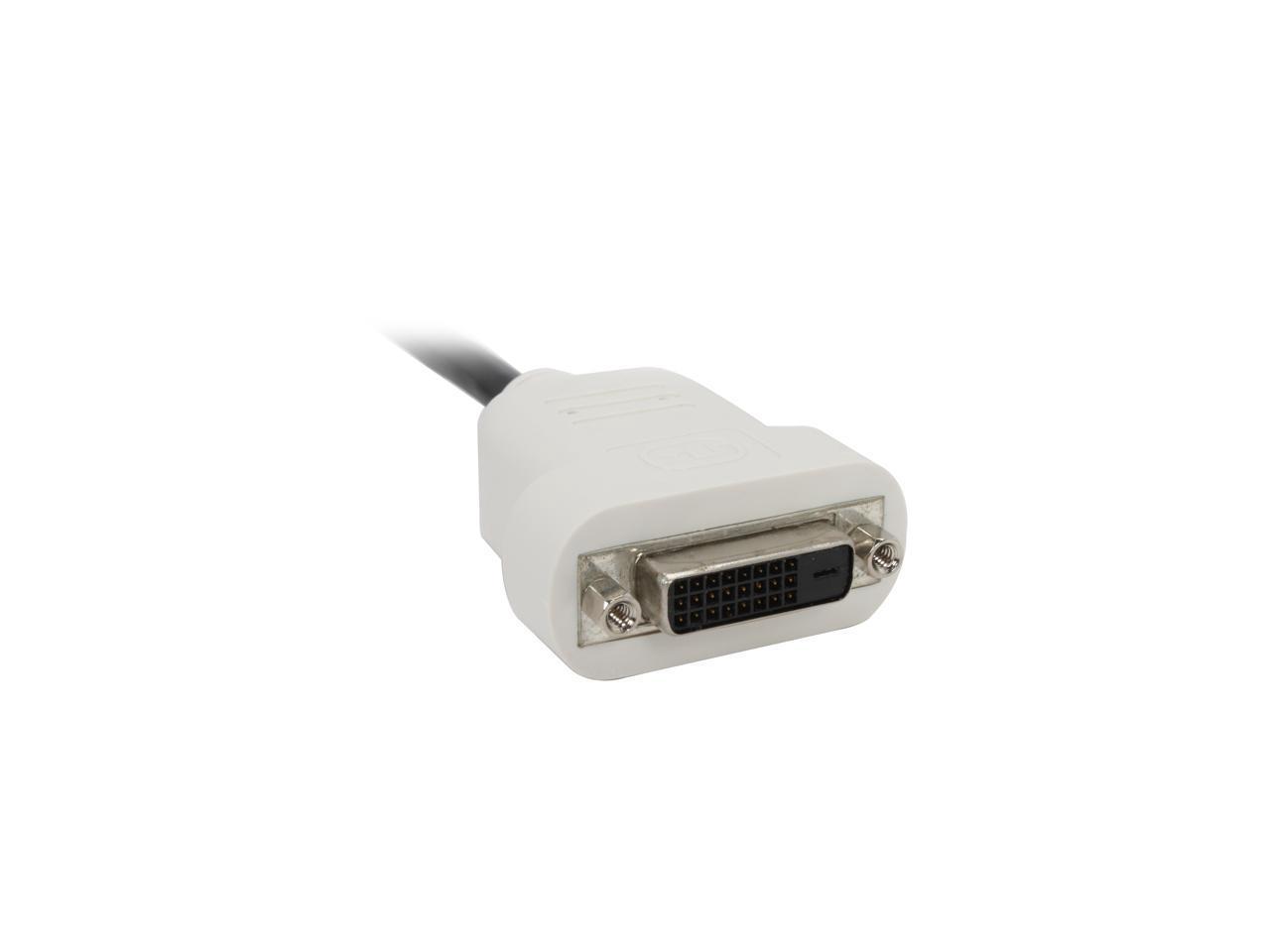 StarTech.com DP2DVI DisplayPort to DVI Video Adapter Converter 2