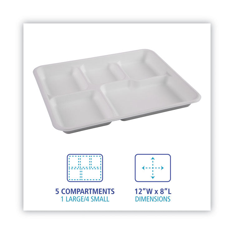 Bagasse Dinnerware, 5-Compartment Tray, 10 x 8, White, 500/Carton 6