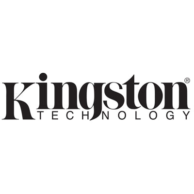 Kingston Data Traveler 1