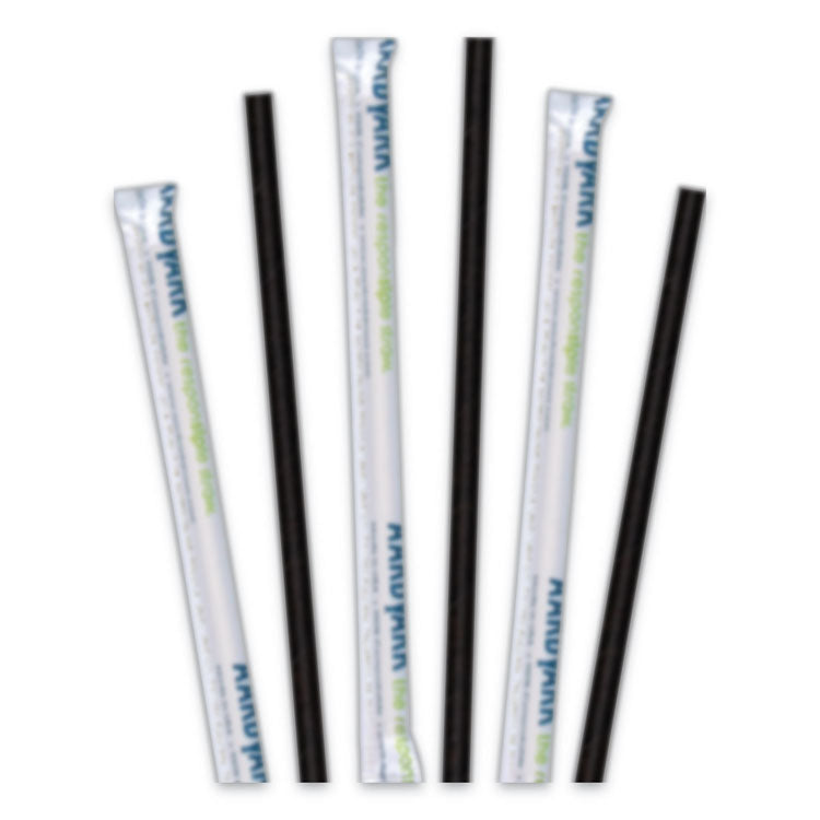 Aardvark Paper Straws, 5.75", Black, 3,200/carton 1