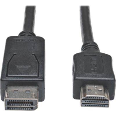 10ft Displayport HD Cbl Adptr 1