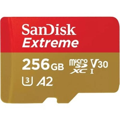 SanDisk Extreme 256 GB 1