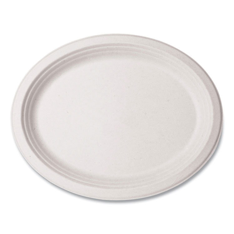 Nourish Molded Fiber Tableware, Platter, 8 x 10 x 1, White, 500/Carton 1