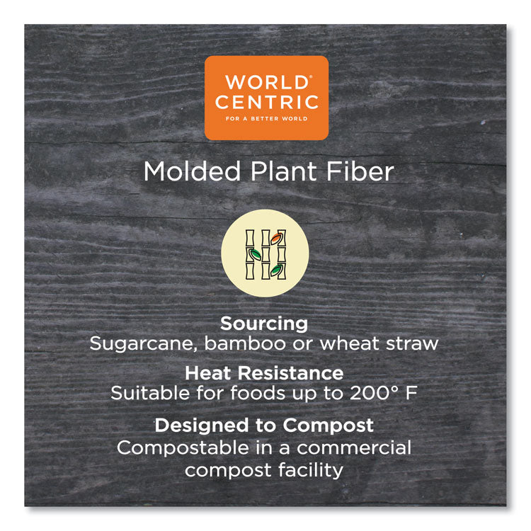 Fiber Trays, PLA Lined, PFAS Free, 1-Compartment, 8.2 x 5.7 x 0.7, Natural, Paper, 500/Carton 4