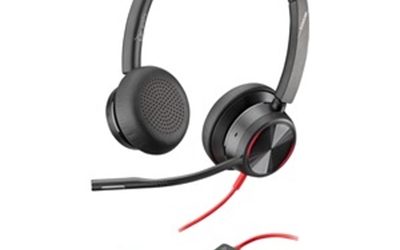 Poly BW8225 USBA Headset