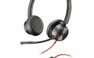 Poly BW8225 USBC Headset