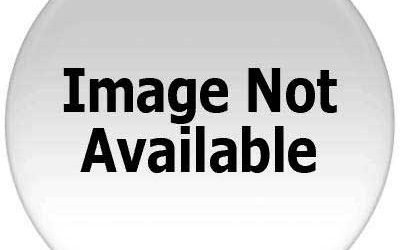 Poly BW5210 Mnrl USBA Headset