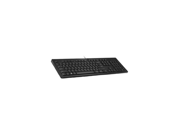 HP 125 Wired USB Keyboard 266C9UTABA - Image 5