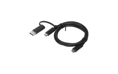 Lenovo Hybrid USB-C with USB-A Cable