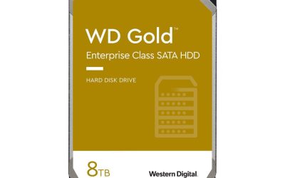 WD Gold 8TB Enterprise Class Hard Disk Drive – 7200 RPM Class SATA 6Gb/s 256MB Cache 3.5 Inch – WD8004FRYZ