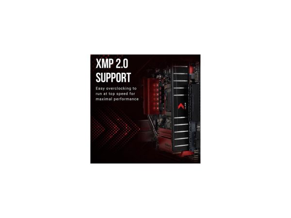 PNY XLR8 16GB (2 x 8GB) 288-Pin PC RAM DDR4 3600 (PC4 28800) Low Profile Desktop Memory Model MD16GK2D4360018LP - Image 5