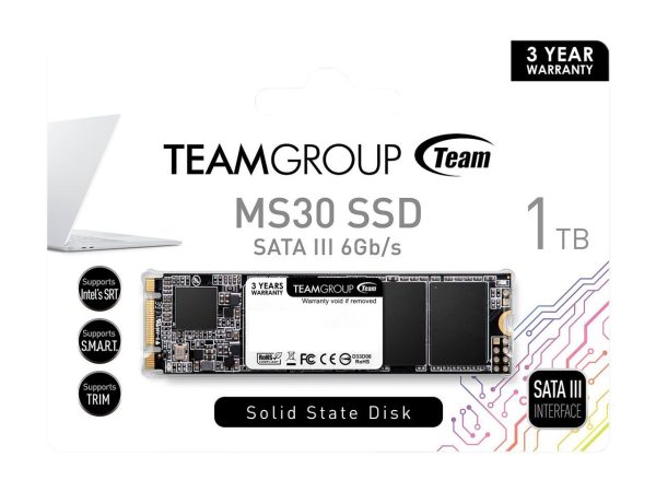 Team Group MS30 M.2 2280 1TB SATA III TLC Internal Solid State Drive (SSD) TM8PS7001T0C101 - Image 2