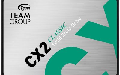 Team Group CX2 2.5″ 256GB SATA III 3D NAND Internal Solid State Drive (SSD) T253X6256G0C101