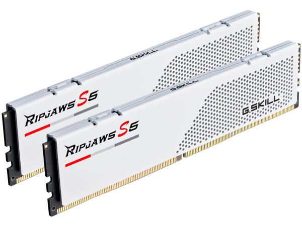 G.SKILL Ripjaws S5 Series 64GB (2 x 32GB) 288-Pin PC RAM DDR5 5200 (PC5 41600) Desktop Memory Model F5-5200J3636D32GX2-RS5W