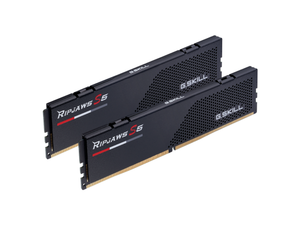 G.SKILL Ripjaws S5 Series 64GB (2 x 32GB) 288-Pin PC RAM DDR5 6000 (PC5 48000) Desktop Memory Model F5-6000J3238G32GX2-RS5K