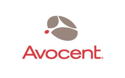 AVOCENT SFP Module HMXSM10GSFP