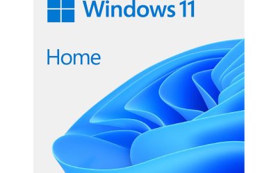 Microsoft Windows 11 Home 64-bit, DVD