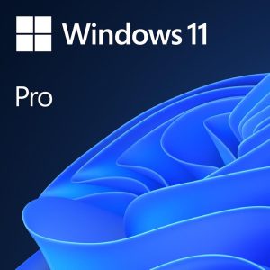 Microsoft Windows 11 Pro 64-bit, DVD