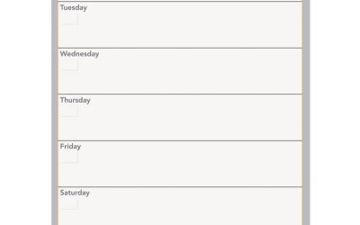Wallmates Self-Adhesive Dry Erase Weekly Planning Surfaces, 18 X 24, White/gray/orange Sheets, Undated