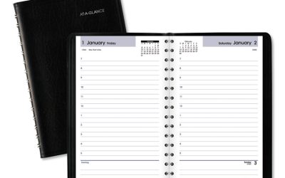 DayMinder Daily Appointment Book, 8 x 5, Black Cover, 12-Month (Jan to Dec): 2024