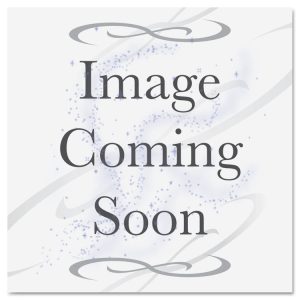 Goodbye Stain & Mark Eraser, 2.6 x 4.8, 1.5" Thick, White/Blue, 24/Carton