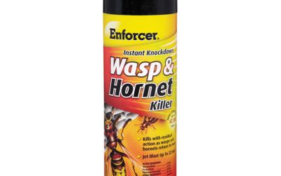 Wasp and Hornet Killer, 16 oz Aerosol Spray, 12/Carton
