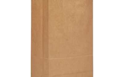 Grocery Paper Bags, 50 lb Capacity, #20, 8.25″ x 5.94″ x 16.13″, Kraft, 500 Bags