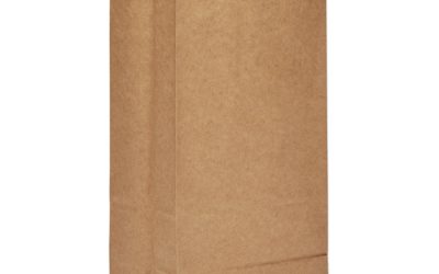 Grocery Paper Bags, 50 lb Capacity, #8, 6.13″ x 4.13″ x 12.44″, Kraft, 500 Bags