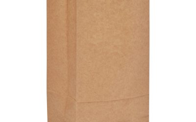 Grocery Paper Bags, 35 lb Capacity, #10, 6.31″ x 4.19″ x 13.38″, Kraft, 500 Bags
