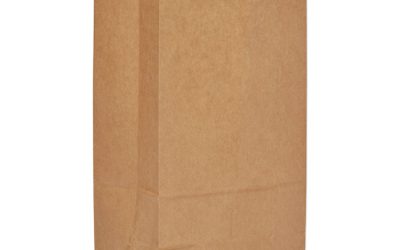 Grocery Paper Bags, 5-10 lb Capacity, #12, 7.06″ x 4.5″ x 13.75″, Kraft, 500 Bags