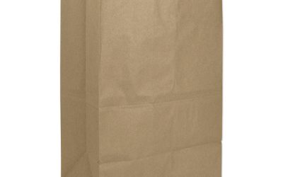 Grocery Paper Bags, 40 lb Capacity, #20 Squat, 8.25″ x 5.94″ x 13.38″, Kraft, 1,000 Bags