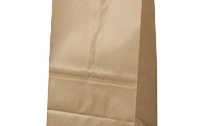 Grocery Paper Bags, 40 lb Capacity, #25 Squat, 8.25″ x 6.13″ x 15.88″, Kraft, 500 Bags
