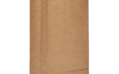 Grocery Paper Bags, 35 lb Capacity, #8, 6.13″ x 4.17″ x 12.44″, Kraft, 500 Bags