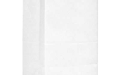 Grocery Paper Bags, 40 lb Capacity, #20 Squat, 8.25″ x 5.94″ x 13.38″, White, 500 Bags