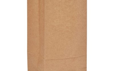 Grocery Paper Bags, 57 lb Capacity, #10, 6.31″ x 4.19″ x 13.38″, Kraft, 500 Bags