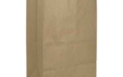 Grocery Paper Bags, 57 lb Capacity, #20 Squat, 8.25″ x 5.94″ x 13.38″, Kraft, 500 Bags
