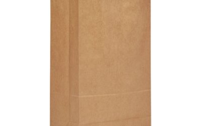 Grocery Paper Bags, 57 lb Capacity, #20, 8.25″ x 5.94″ x 16.13″, Kraft, 500 Bags