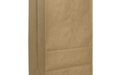 Grocery Paper Bags, 57 lb Capacity, #25, 8.25″ x 6.13″ x 15.88″, Kraft, 500 Bags