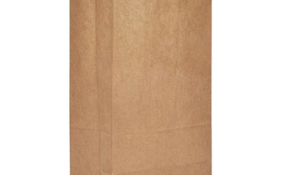Grocery Paper Bags, 50 lb Capacity, #5, 5.25″ x 3.44″ x 10.94″, Kraft, 500 Bags