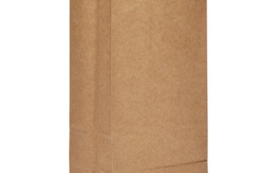 Grocery Paper Bags, 57 lb Capacity, #8, 6.13″ x 4.17″ x 12.44″, Kraft, 500 Bags