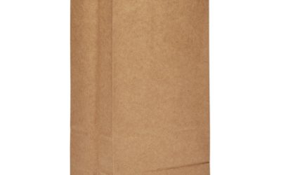 Grocery Paper Bags, 60 lb Capacity, #8, 6.13″ x 4.17″ x 12.44″, Kraft, 1,000 Bags