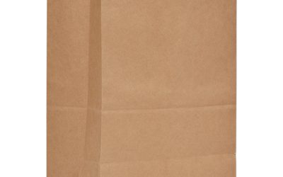 Grocery Paper Bags, 52 lb Capacity, 1/6 BBL, 12″ x 7″ x 17″, Kraft, 500 Bags