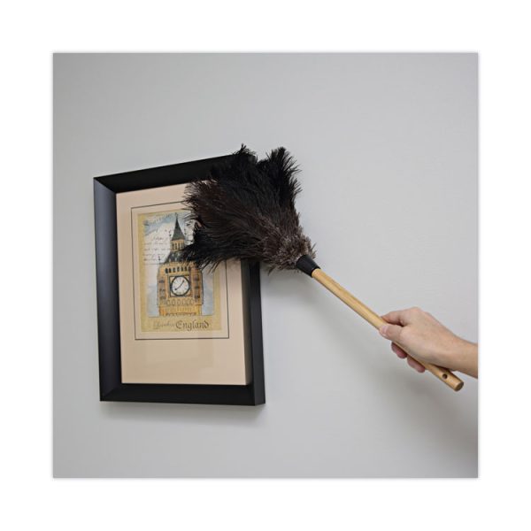 Professional Ostrich Feather Duster, 10" Handle - Image 5