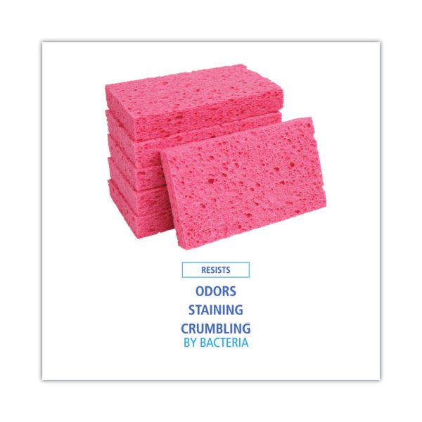 Small Cellulose Sponge, 3.6 X 6.5, 0.9" Thick, Pink, 2/pack, 24 Packs/carton - Image 8