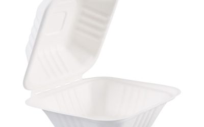 Bagasse Food Containers, Hinged-Lid, 1-Compartment 6 x 6 x 3.19, White, Sugarcane, 125/Sleeve, 4 Sleeves/Carton