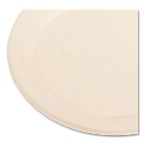 Bagasse PFAS-Free Dinnerware, Plate, 9" dia, Tan, 500/Carton - Image 3