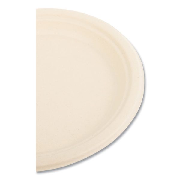 Bagasse PFAS-Free Dinnerware, Plate, 9" dia, Tan, 500/Carton - Image 4