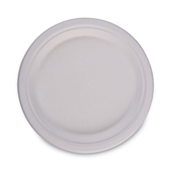 Bagasse Dinnerware, Plate, 10" Dia, White, 500/carton - Image 2