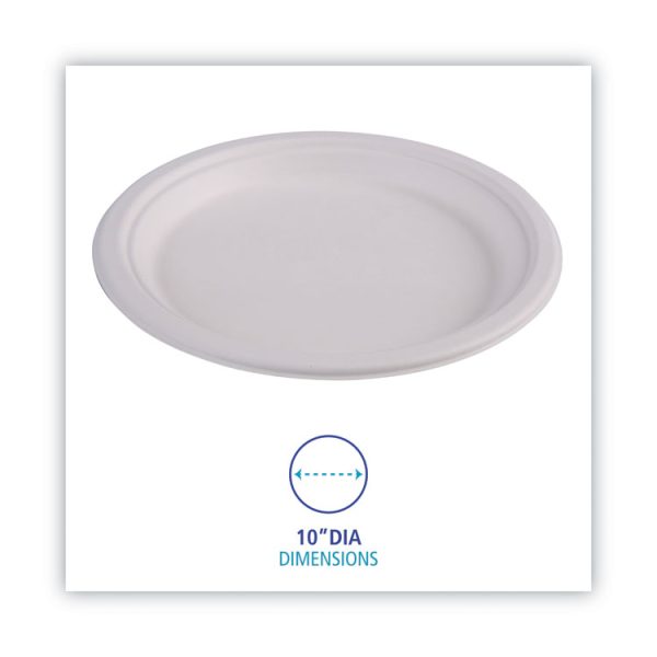 Bagasse Dinnerware, Plate, 10" Dia, White, 500/carton - Image 3