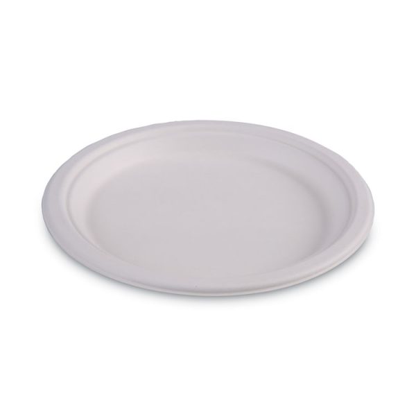 Bagasse Dinnerware, Plate, 10" Dia, White, 500/carton - Image 4